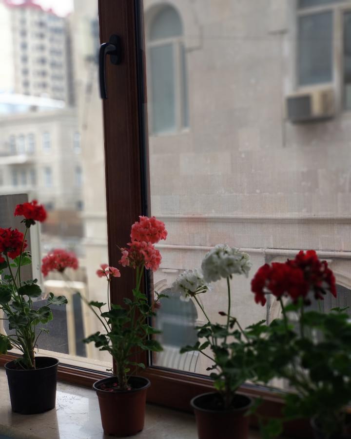 Central Baku Hotel Hotel
